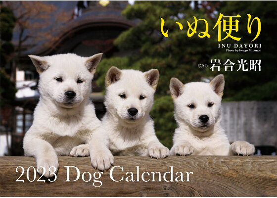 楽天ブックス いぬ便り 23 Dog Calendar S12 岩合光昭 本 楽天ブックス いぬ便り 23 Dog Calendar S12 岩合光昭 本